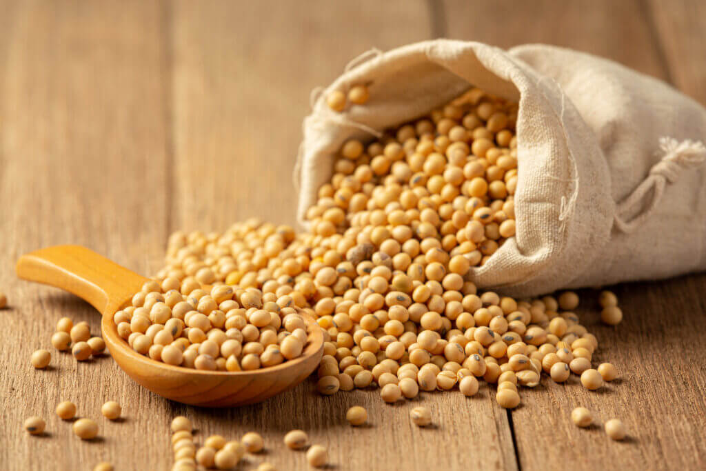 Soybean global commodity supply